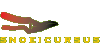 Snoeicursus